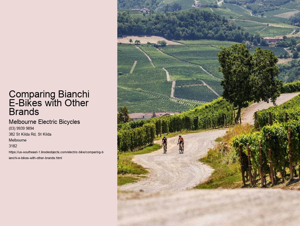 Comparing Bianchi E-Bikes with Other Brands  