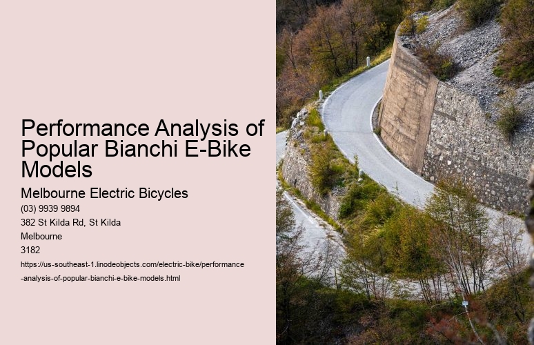Performance Analysis of Popular Bianchi E-Bike Models  